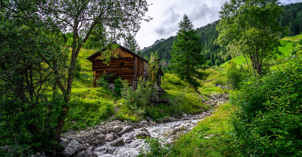 découvrez le babillage, la première étape du langage chez les bébés, où les sons prennent vie et préparent à la communication.