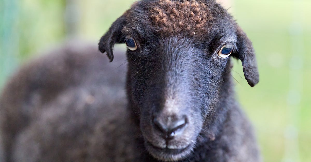 découvrez les étapes importantes du développement de bébé lorsqu'il commence à se retourner. conseils et astuces pour accompagner cette étape clé en toute sécurité.