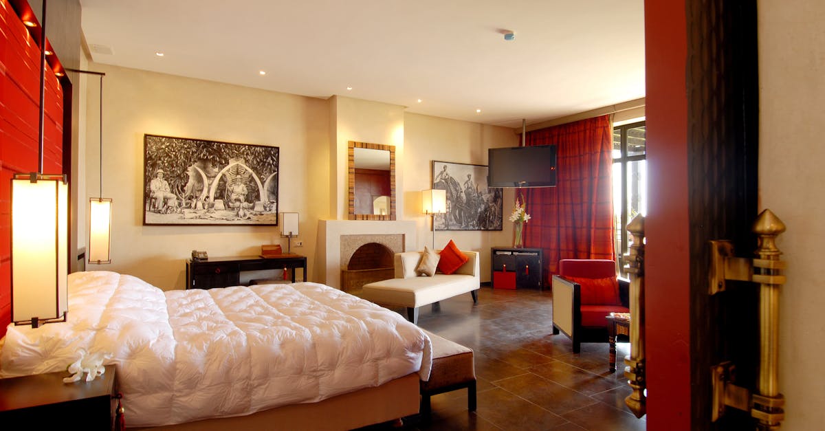 découvrez comment identifier, prévenir et éliminer les punaises de lit efficacement grâce à nos conseils experts.