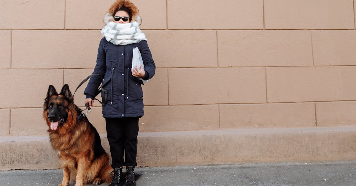 découvrez nos conseils essentiels pour entretenir votre doudoune et prolonger sa durée de vie tout en conservant chaleur et confort.