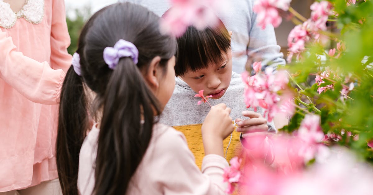 découvrez des activités père-fils amusantes et enrichissantes pour renforcer vos liens et créer des souvenirs mémorables ensemble.