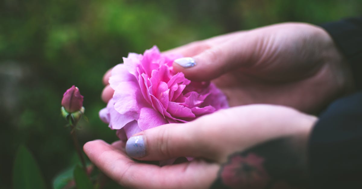 découvrez des conseils efficaces pour stimuler la croissance rapide et saine de vos ongles. astuces, aliments recommandés et soins adaptés pour des ongles forts et longs.