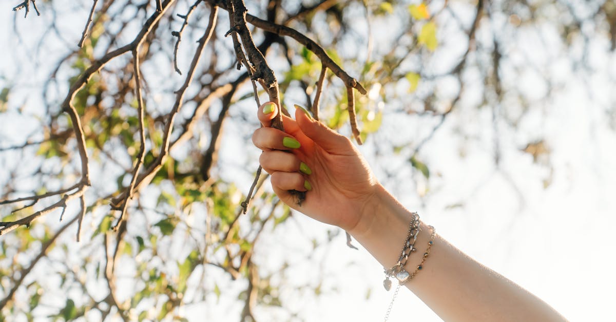 découvrez comment favoriser la croissance rapide et saine de vos ongles grâce à nos conseils et soins efficaces.