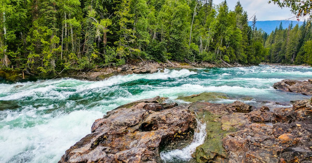 découvrez la beauté naturelle : conseils, astuces et produits pour sublimer votre apparence au naturel, prendre soin de votre peau et révéler votre éclat authentique au quotidien.