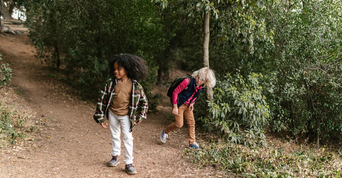 découvrez "playful wandering", une expérience ludique et captivante qui vous invite à explorer avec curiosité et joie.