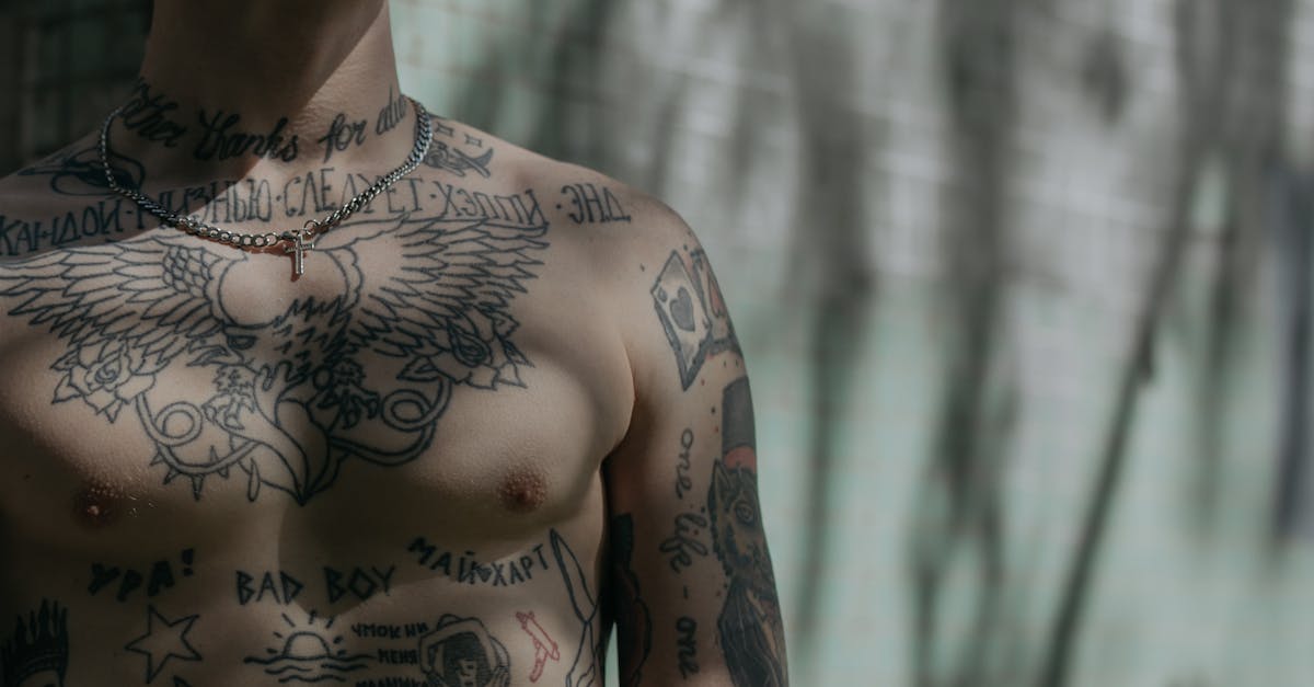 découvrez l'univers du tatouage : styles, significations, conseils pour bien choisir votre tatouage et inspirations pour tous les goûts. guide complet pour franchir le pas sereinement !