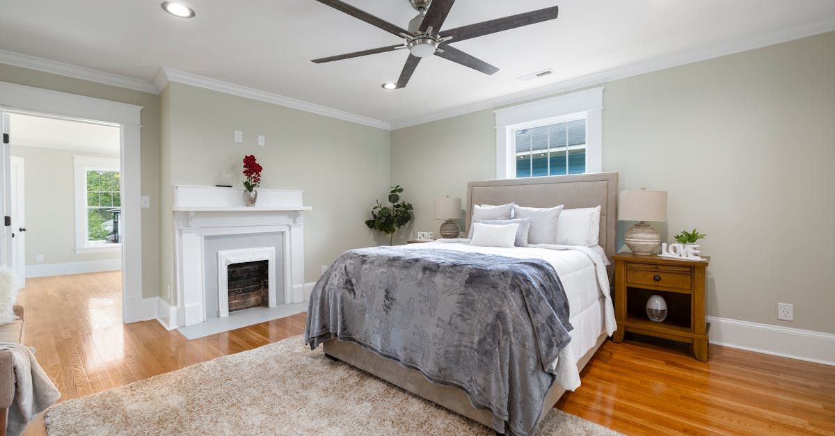 découvrez les meilleures plantes pour purifier l'air de votre chambre et créer un environnement sain et agréable pour un sommeil de qualité.