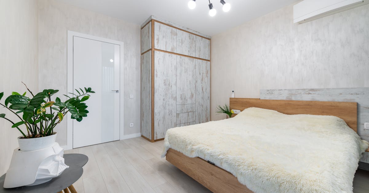 découvrez les meilleures plantes pour purifier l'air de votre chambre et améliorer votre qualité de sommeil naturellement.