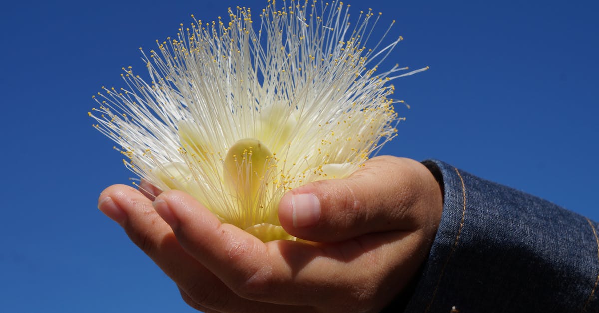 découvrez des conseils doux et efficaces pour le sevrage en douceur de votre bébé, favorisant un passage serein et respectueux à une alimentation solide.