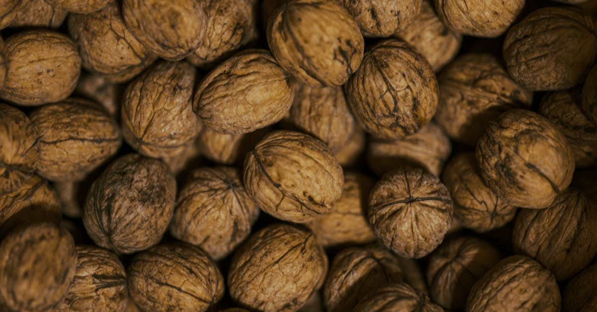 découvrez le régime et les conseils minceur de laurence boccolini pour rester en forme et bien dans son corps.