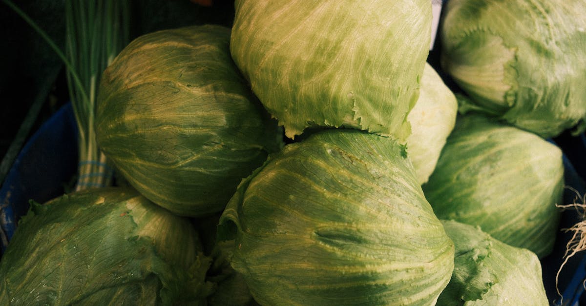 découvrez le régime alimentaire de laurence boccolini : ses astuces, conseils et habitudes pour une silhouette équilibrée et un bien-être au quotidien.