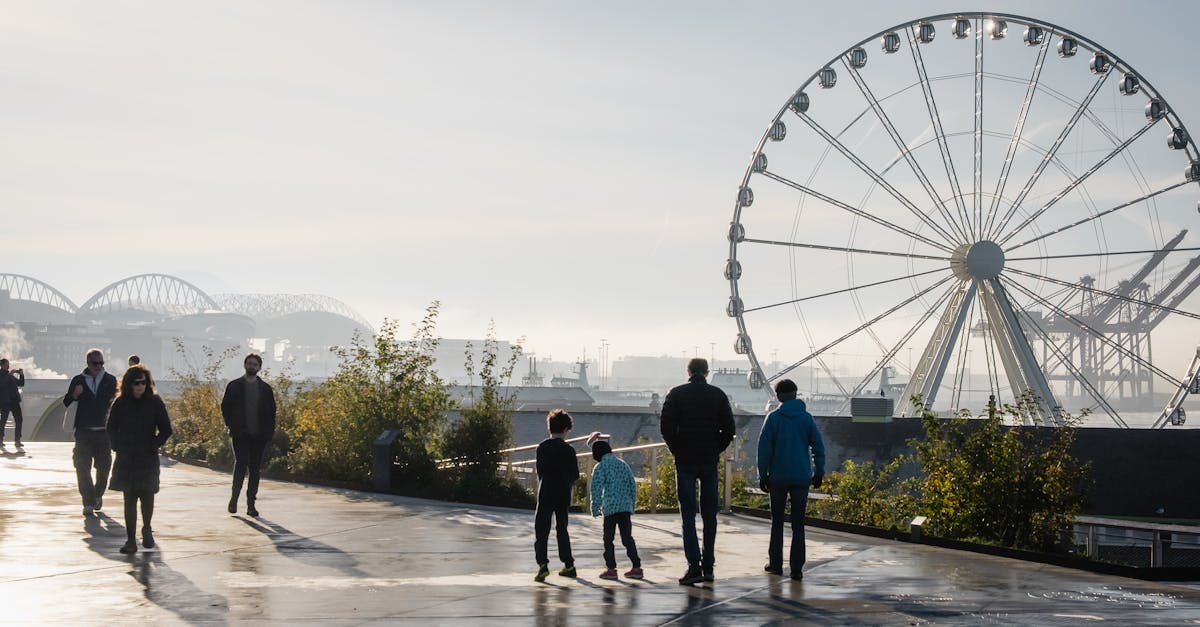 découvrez la puissance de l'attraction magnétique et ses applications fascinantes dans la vie quotidienne et la science.