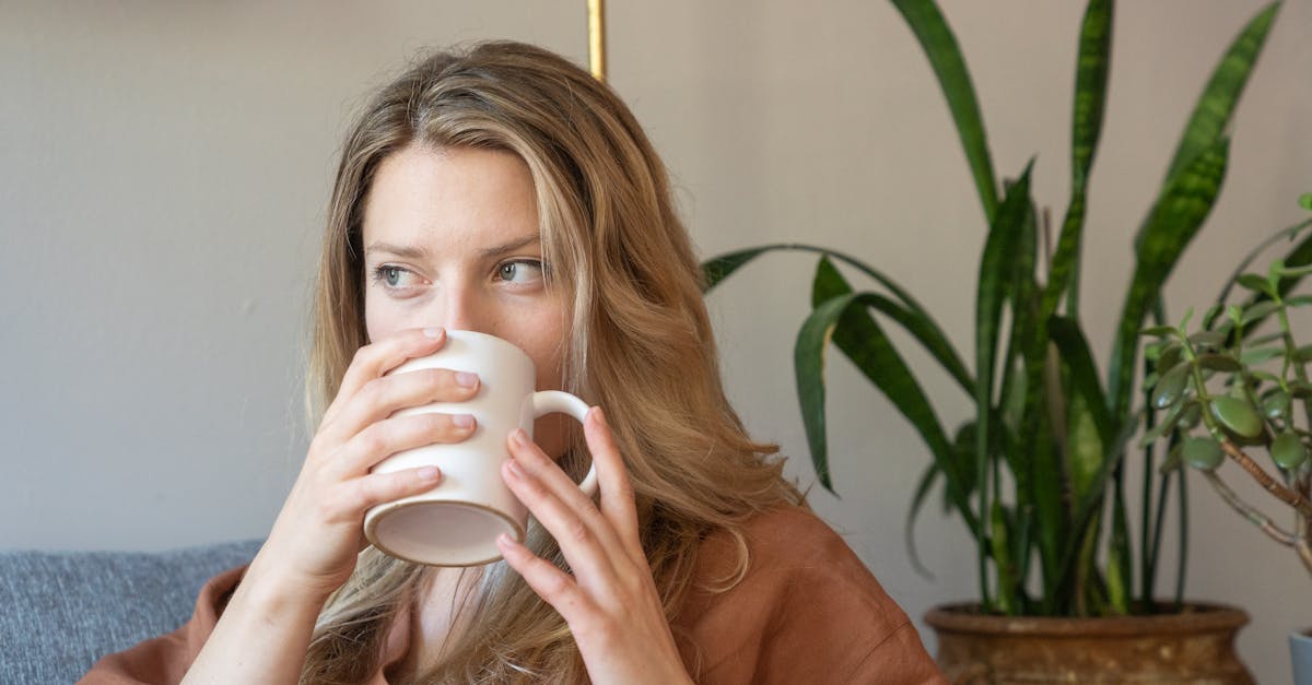 découvrez la décoration scandinave : un style épuré, chaleureux et fonctionnel qui allie simplicité, lumière naturelle et matériaux naturels pour créer des espaces cosy et modernes.