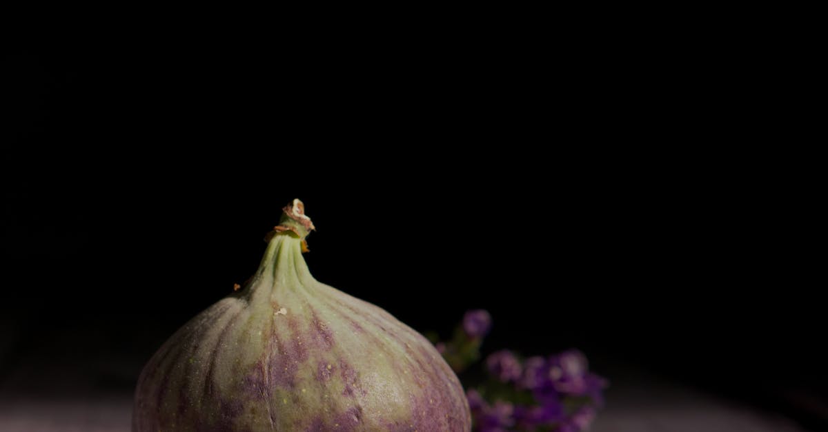 découvrez le régime sirtfood, un programme alimentaire axé sur les aliments riches en sirtuines pour favoriser la perte de poids et améliorer la santé.