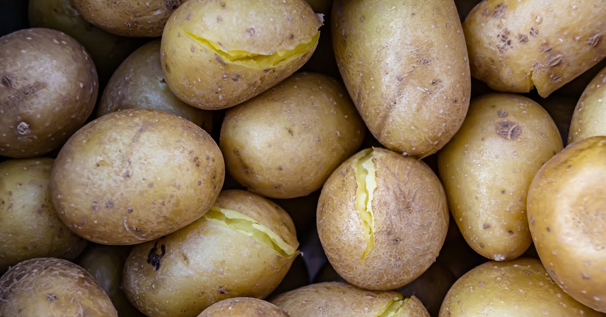 découvrez notre recette simple et savoureuse de pommes de terre bouillies, un accompagnement classique et tendre parfait pour tous vos plats.