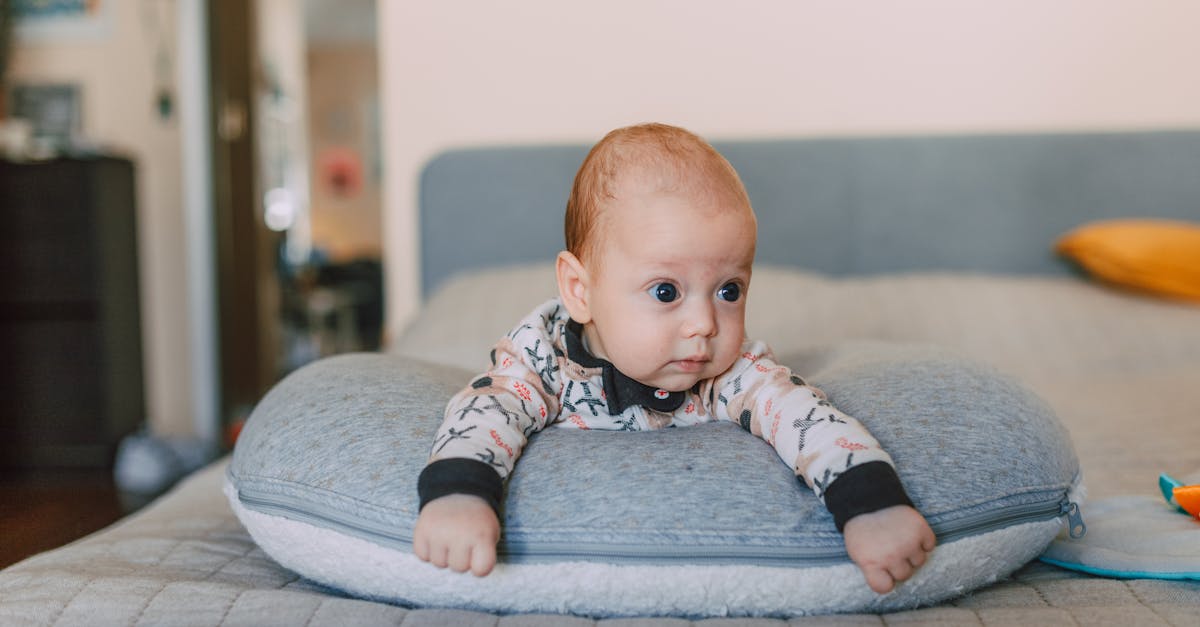 coussin d'allaitement confortable et ergonomique, idéal pour soutenir maman et bébé pendant la tétée, facilitant une position naturelle et agréable.
