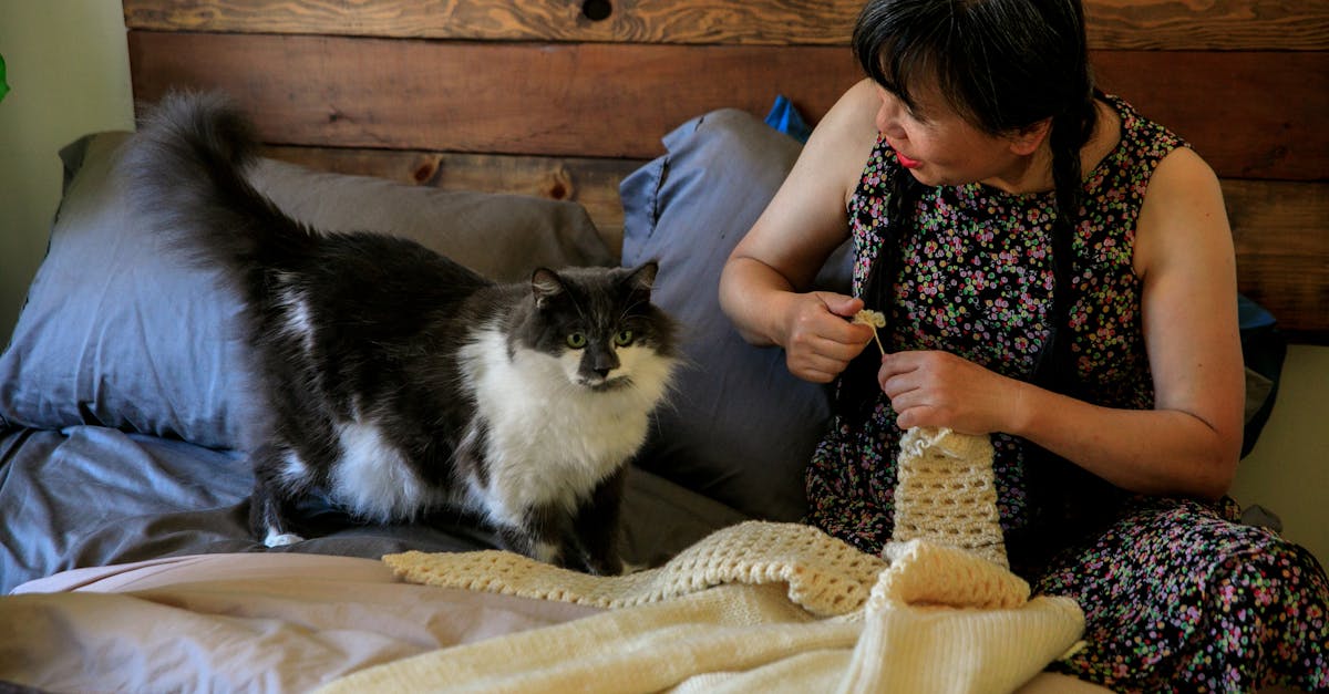 découvrez les meilleures idées diy pour décorer votre chambre en 2025 : astuces créatives, tendances et inspirations pour un espace personnalisé et tendance.