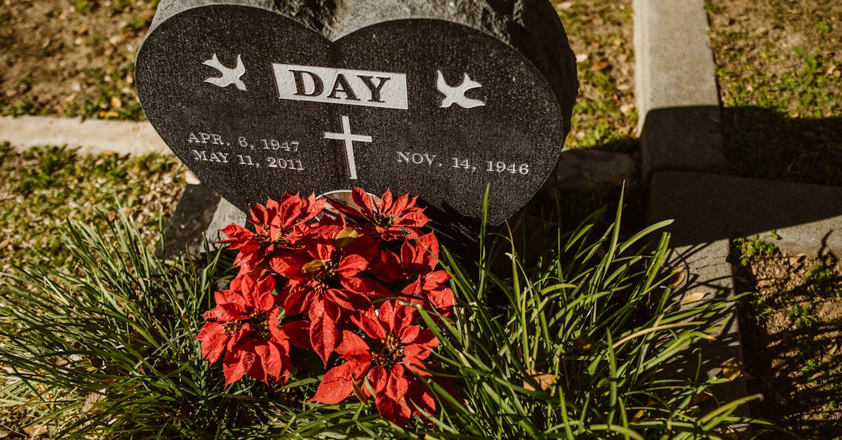 découvrez des stratégies et un soutien essentiels pour gérer le deuil après la perte d'un enfant, accompagnant chaque étape du processus de guérison.