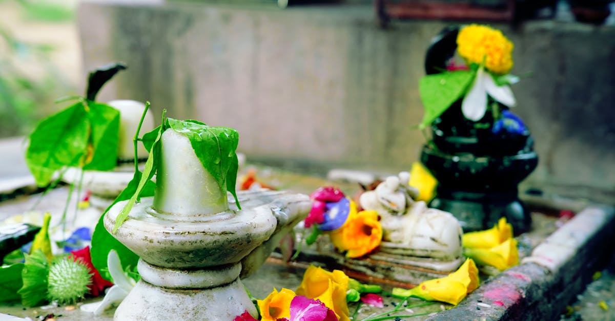 découvrez l'univers du libertinage : un espace d'exploration, de liberté et d'échanges pour adultes, respectueux et consensuel.