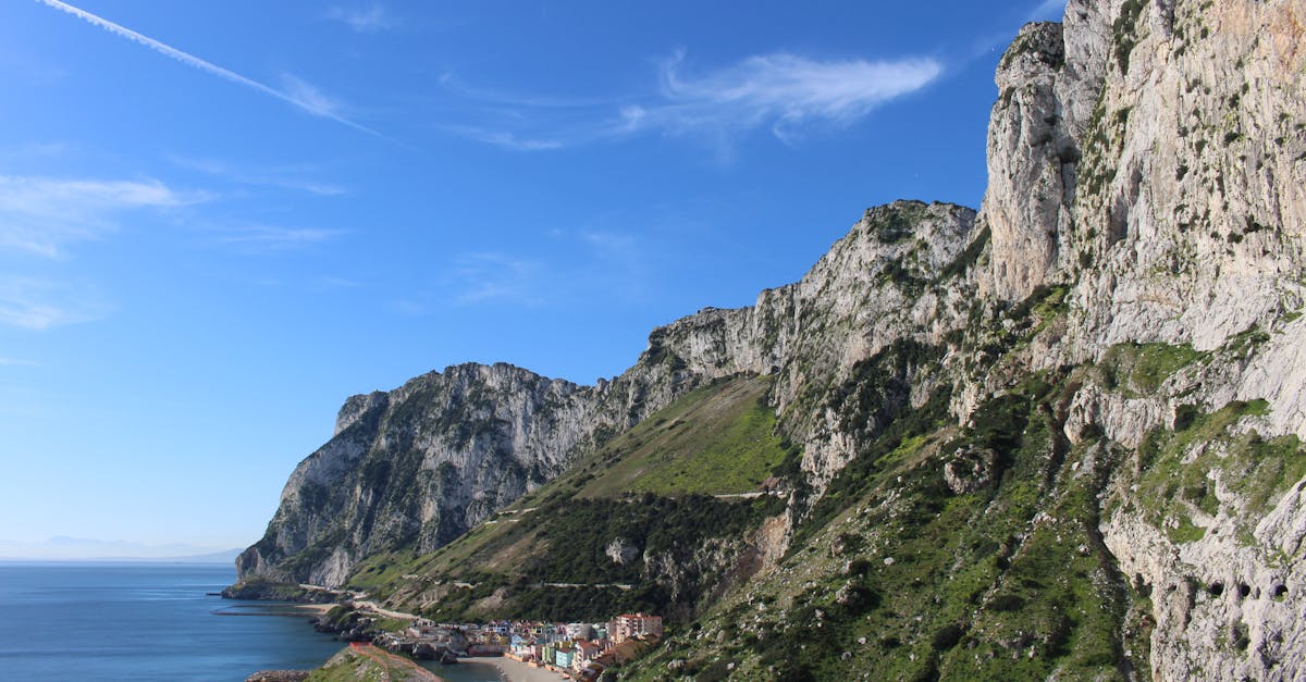 découvrez tout sur la linea nigra, cette ligne pigmentée qui apparaît souvent pendant la grossesse, ses causes, son évolution et comment la prendre en charge.