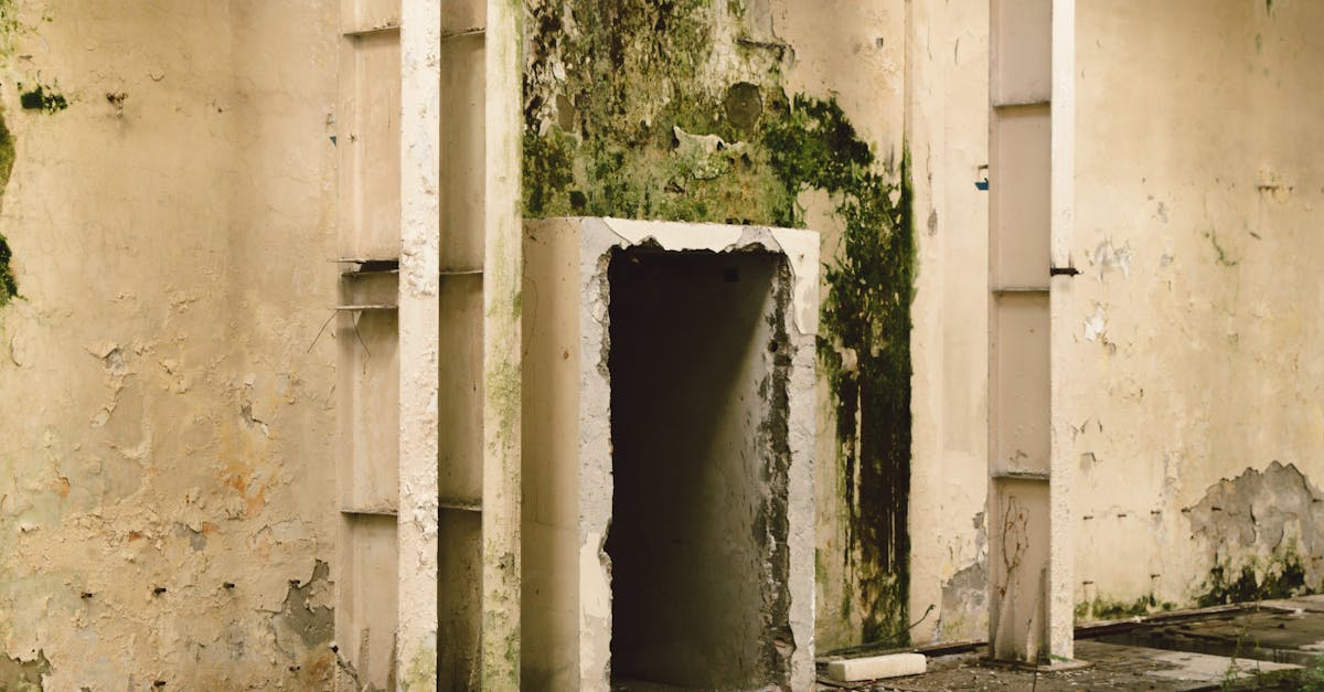 éliminez efficacement la moisissure sur les murs de votre douche avec nos conseils et solutions de nettoyage spécialisés pour un espace sain et propre.