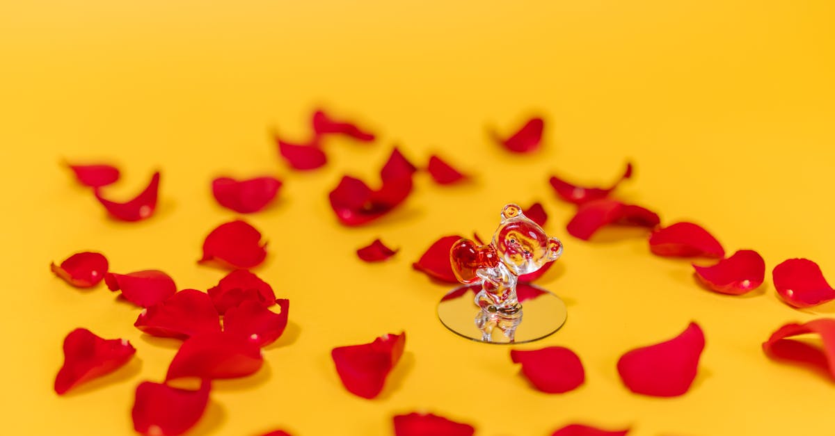 découvrez des idées cadeaux uniques pour un pacs en 2025, parfaites pour célébrer cet engagement spécial avec originalité et style.