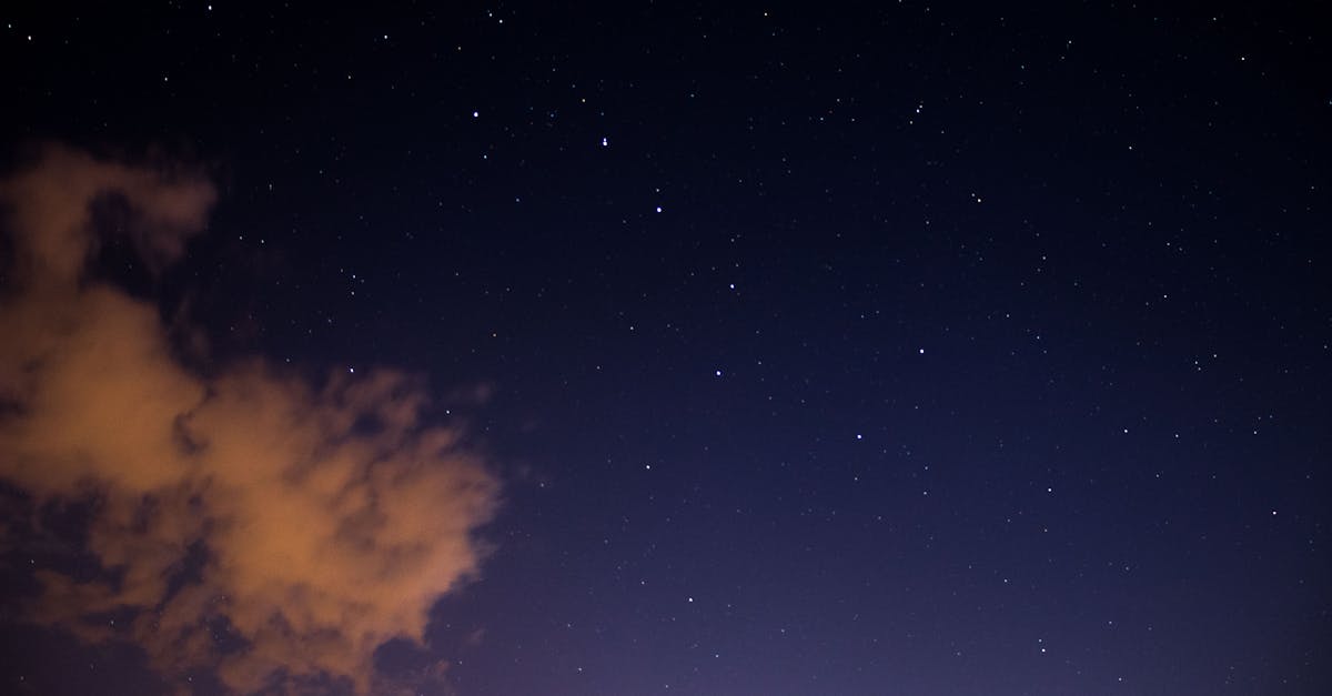 découvrez tout ce qu'il faut savoir sur le sevrage, ses étapes essentielles et conseils pratiques pour accompagner votre enfant ou animal avec douceur et succès.