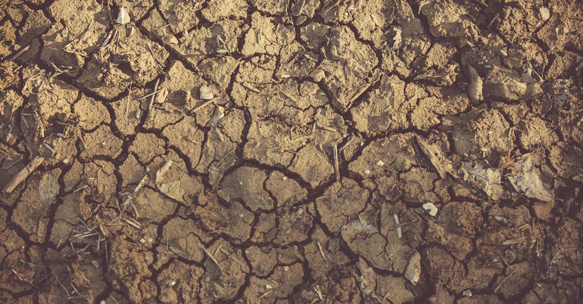 découvrez tout ce qu'il faut savoir sur le sevrage, ses étapes clés, conseils pratiques et bienfaits pour bébé et parents.