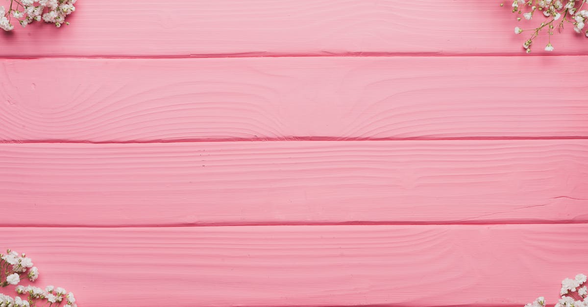 découvrez l'élégance d'un mariage chic rustique alliant charme naturel et sophistication pour une journée inoubliable.