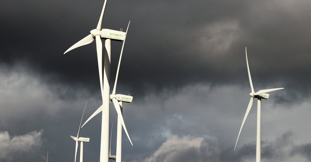 découvrez des alternatives de nettoyage efficaces et écologiques pour entretenir votre maison tout en respectant l'environnement.