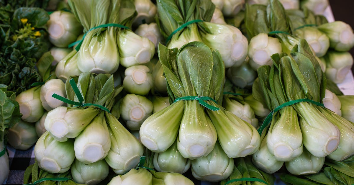 célébrez le pacs en famille avec des moments de joie, d'amour et de partage. organisez une fête inoubliable pour marquer cet engagement officiel.