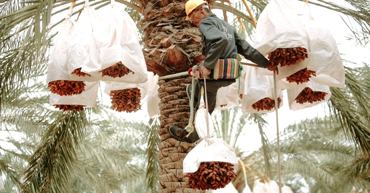 découvrez des idées de tenues parfaites pour un premier rendez-vous, alliant style et confort pour faire bonne impression.