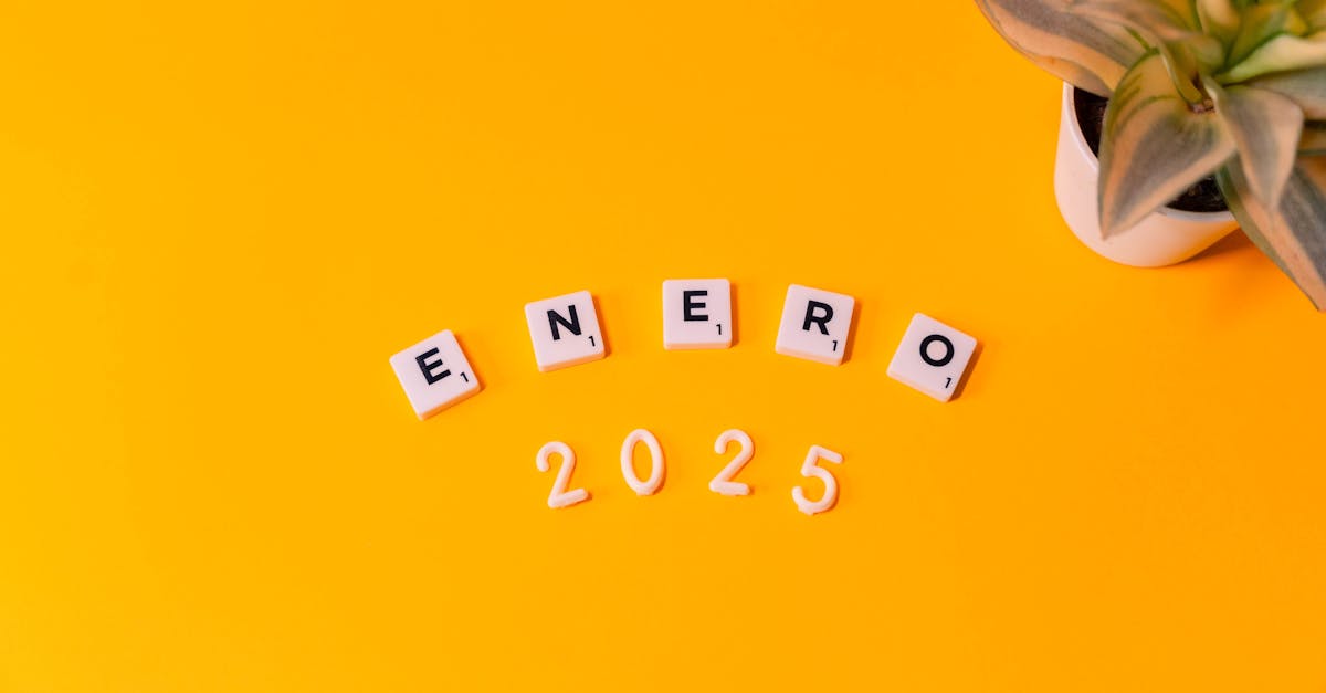 découvrez les tendances incontournables des tenues pour pacs en 2025 et inspirez-vous pour un style élégant et moderne lors de votre cérémonie.