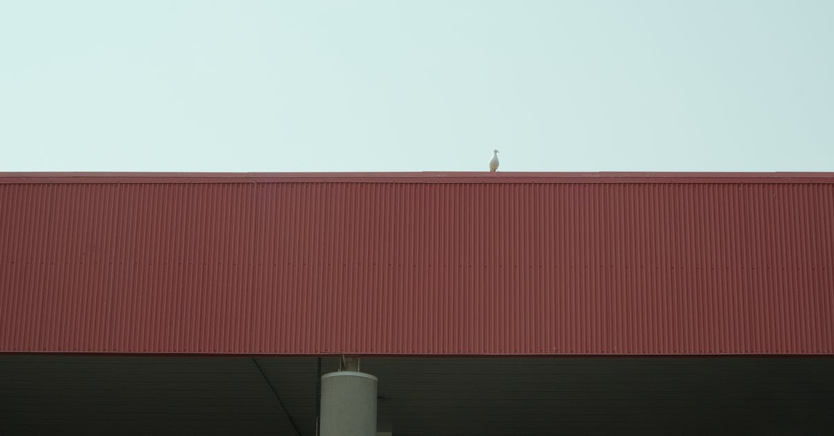 découvrez tout ce qu'il faut savoir sur les retours : conditions, procédures et conseils pour un processus simple et efficace.