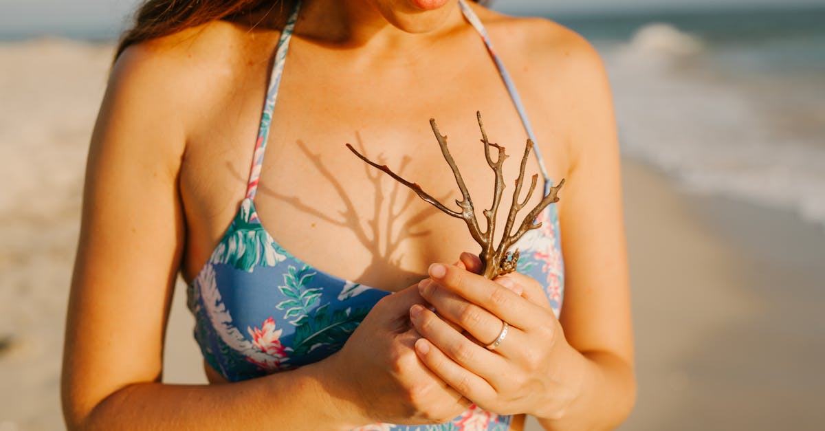 découvrez notre collection de maillots de bain tendance et confortables pour toutes les tailles et styles. parfaits pour la plage et la piscine, alliez élégance et praticité cet été.