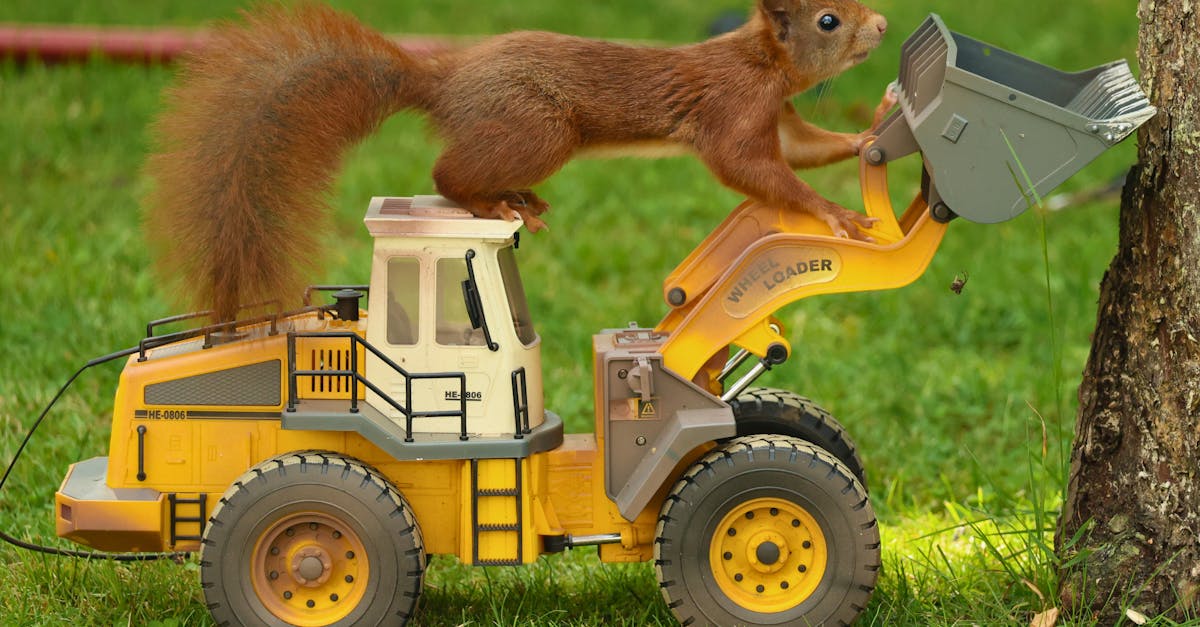 découvrez comment styliser des pantalons larges pour les petites tailles avec des astuces mode pour allonger la silhouette et rester élégante au quotidien.